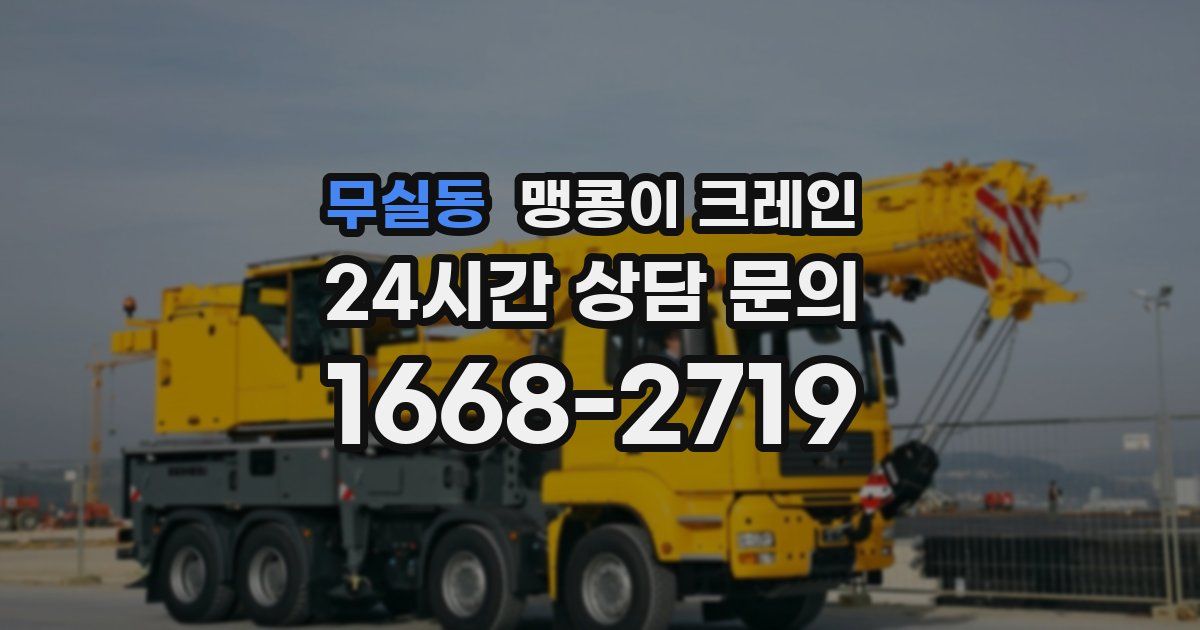 무실동 맹콩이 크레인