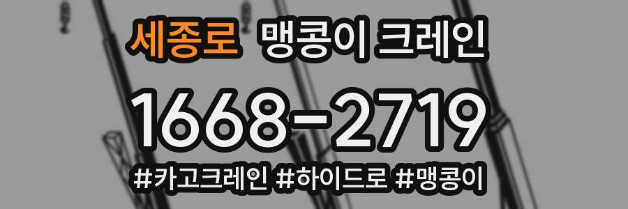 세종로 맹콩이 크레인