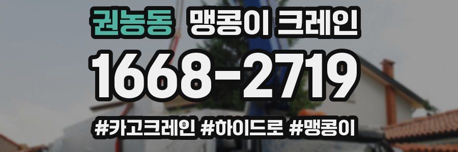 권농동 맹콩이 크레인