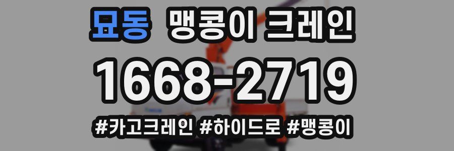 묘동 맹콩이 크레인