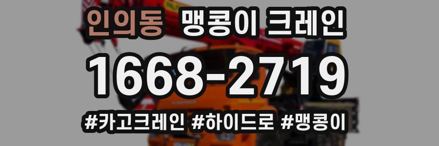 인의동 맹콩이 크레인