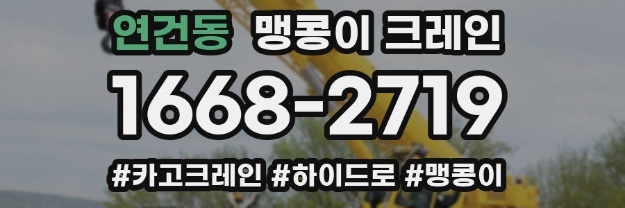 연건동 맹콩이 크레인