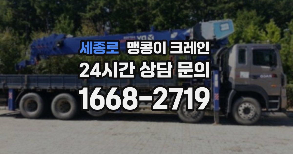 세종로 맹콩이 크레인