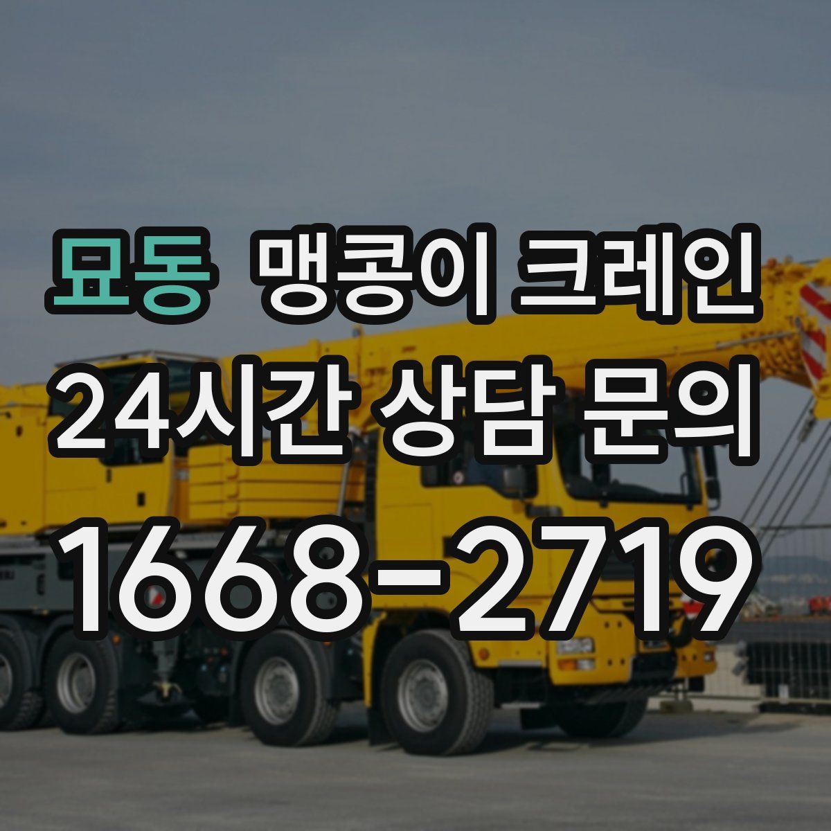 묘동 맹콩이 크레인