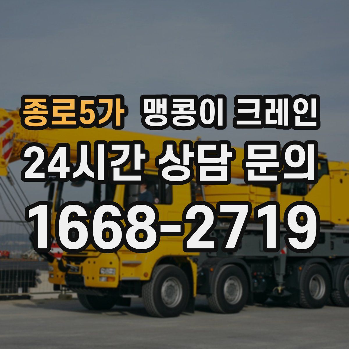 종로5가 맹콩이 크레인