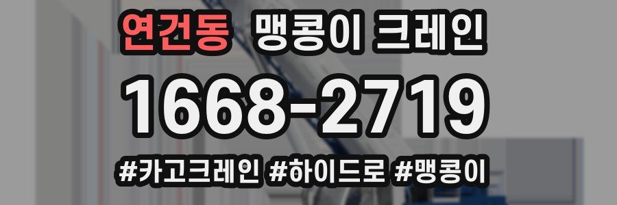 연건동 맹콩이 크레인