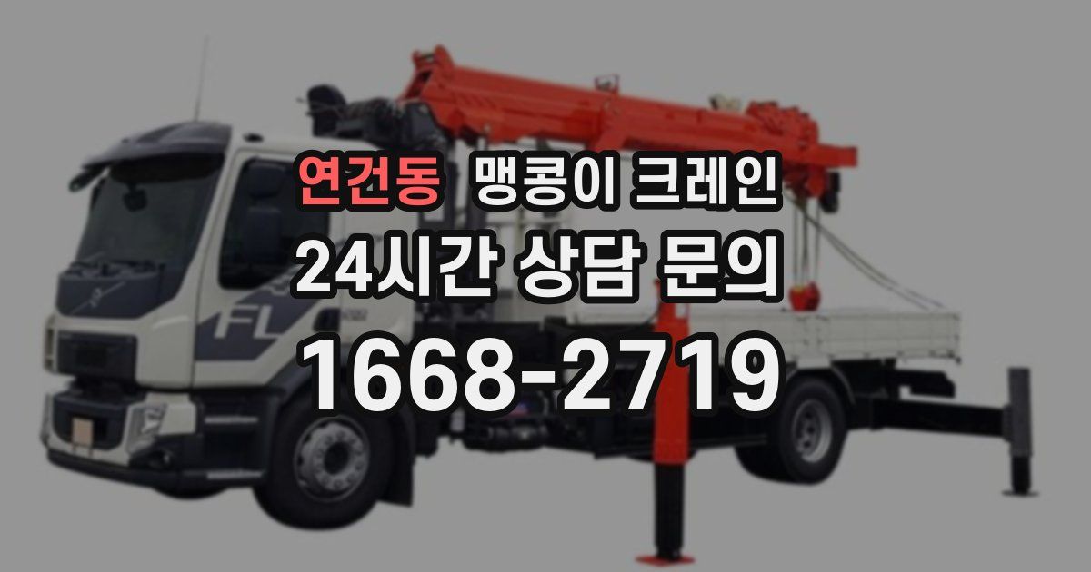 연건동 맹콩이 크레인