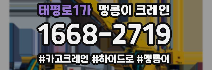 태평로1가 맹콩이 크레인