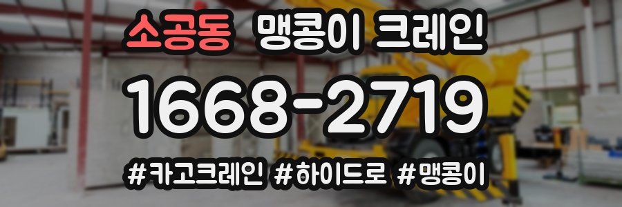 소공동 맹콩이 크레인