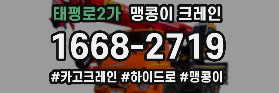 태평로2가 맹콩이 크레인