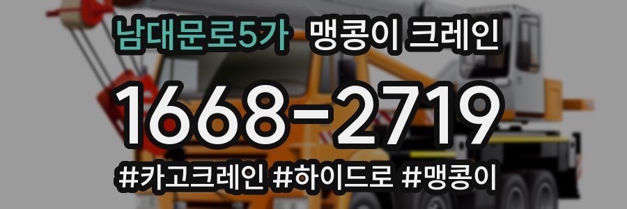 남대문로5가 맹콩이 크레인
