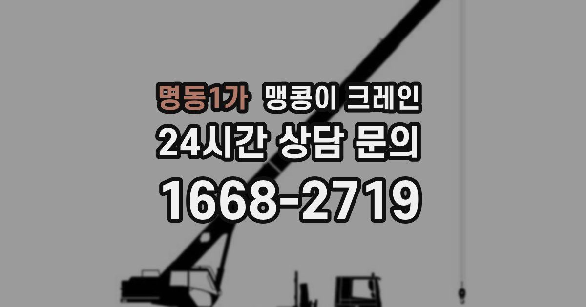 명동1가 맹콩이 크레인