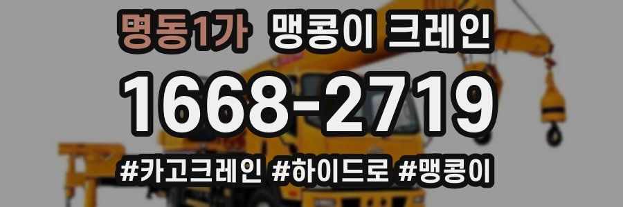 명동1가 맹콩이 크레인