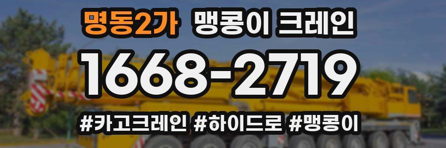 명동2가 맹콩이 크레인