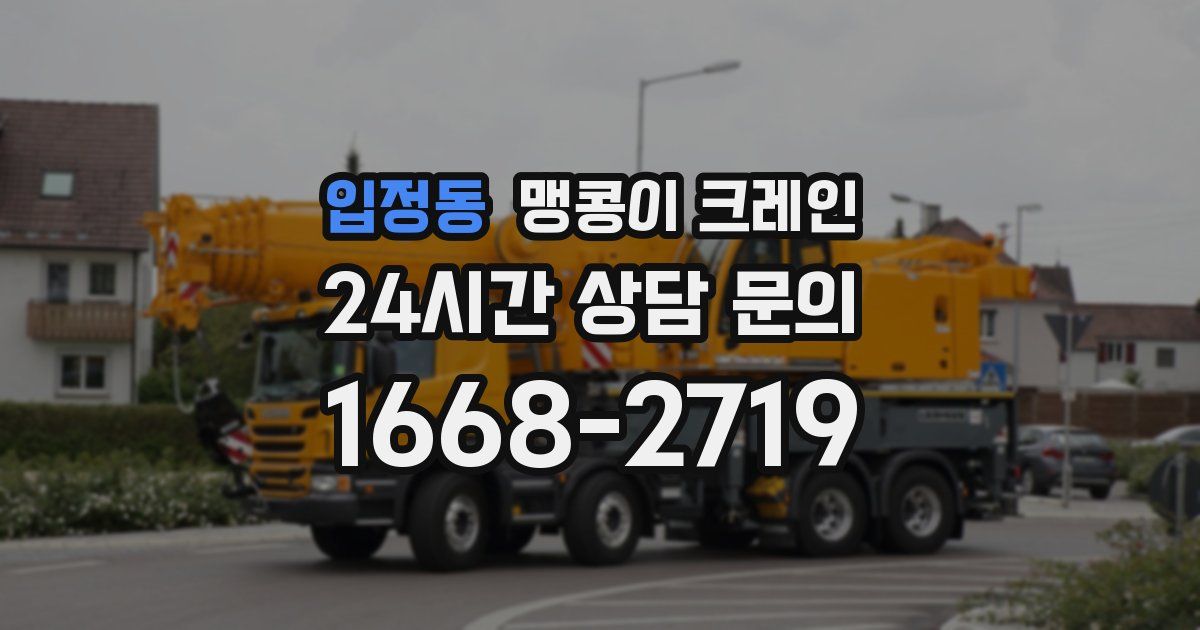 입정동 맹콩이 크레인