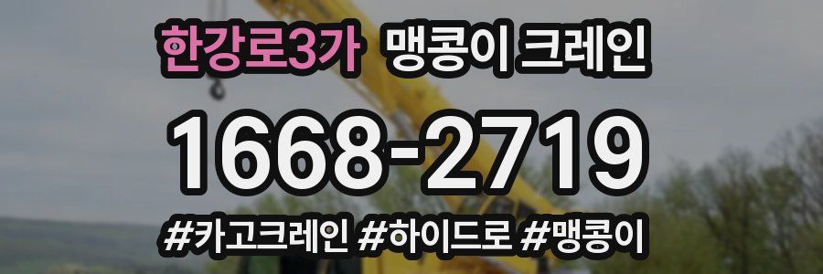 한강로3가 맹콩이 크레인