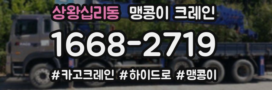 상왕십리동 맹콩이 크레인