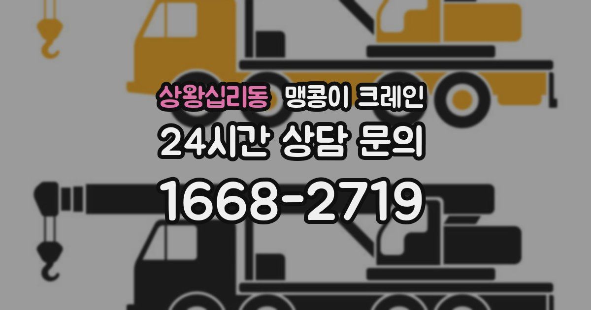 상왕십리동 맹콩이 크레인