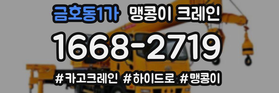 금호동1가 맹콩이 크레인