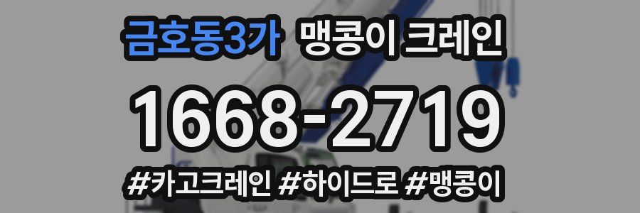 금호동3가 맹콩이 크레인