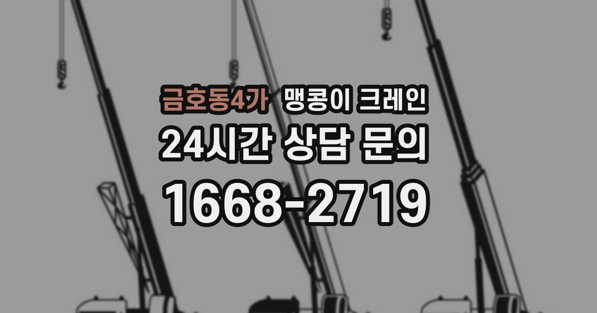 금호동4가 맹콩이 크레인