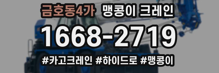 금호동4가 맹콩이 크레인