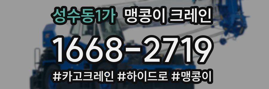 성수동1가 맹콩이 크레인