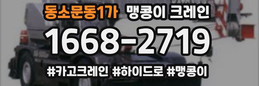 동소문동1가 맹콩이 크레인