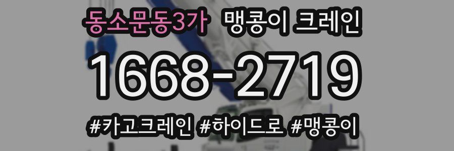 동소문동3가 맹콩이 크레인