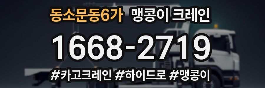 동소문동6가 맹콩이 크레인