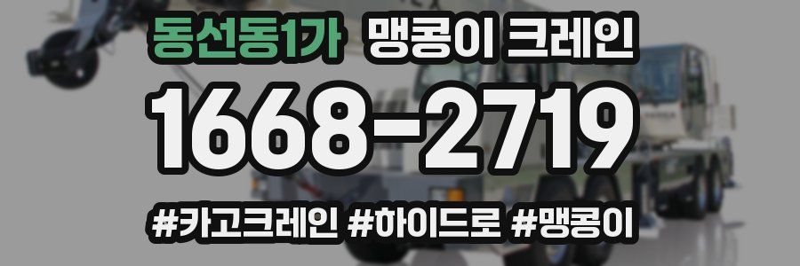 동선동1가 맹콩이 크레인