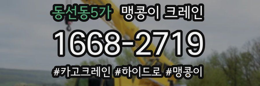 동선동5가 맹콩이 크레인
