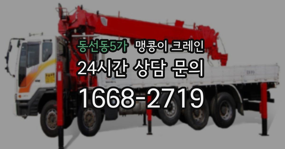 동선동5가 맹콩이 크레인
