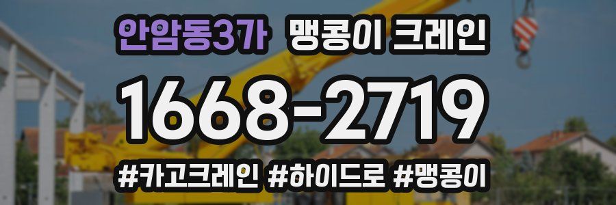안암동3가 맹콩이 크레인