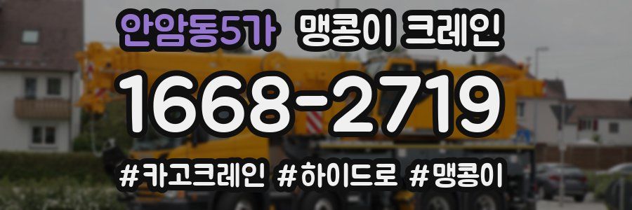 안암동5가 맹콩이 크레인