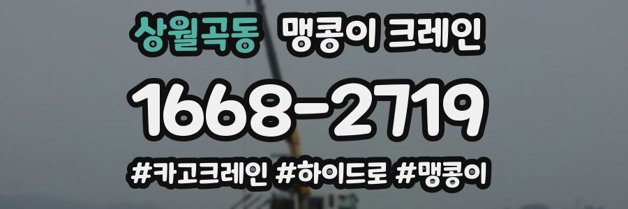 상월곡동 맹콩이 크레인