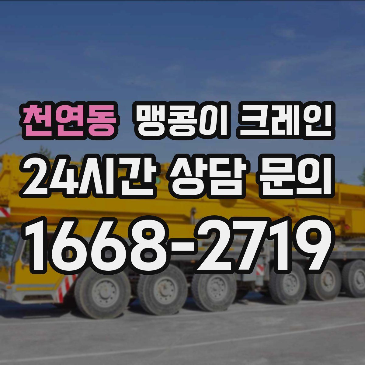 천연동 맹콩이 크레인