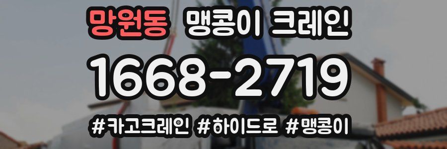 망원동 맹콩이 크레인