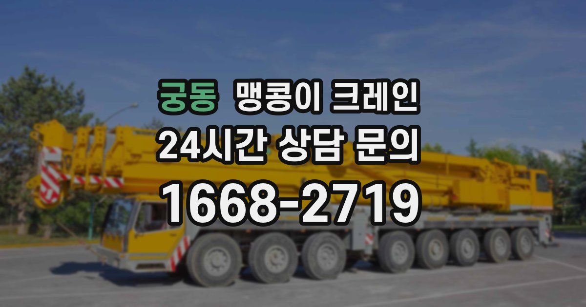 궁동 맹콩이 크레인