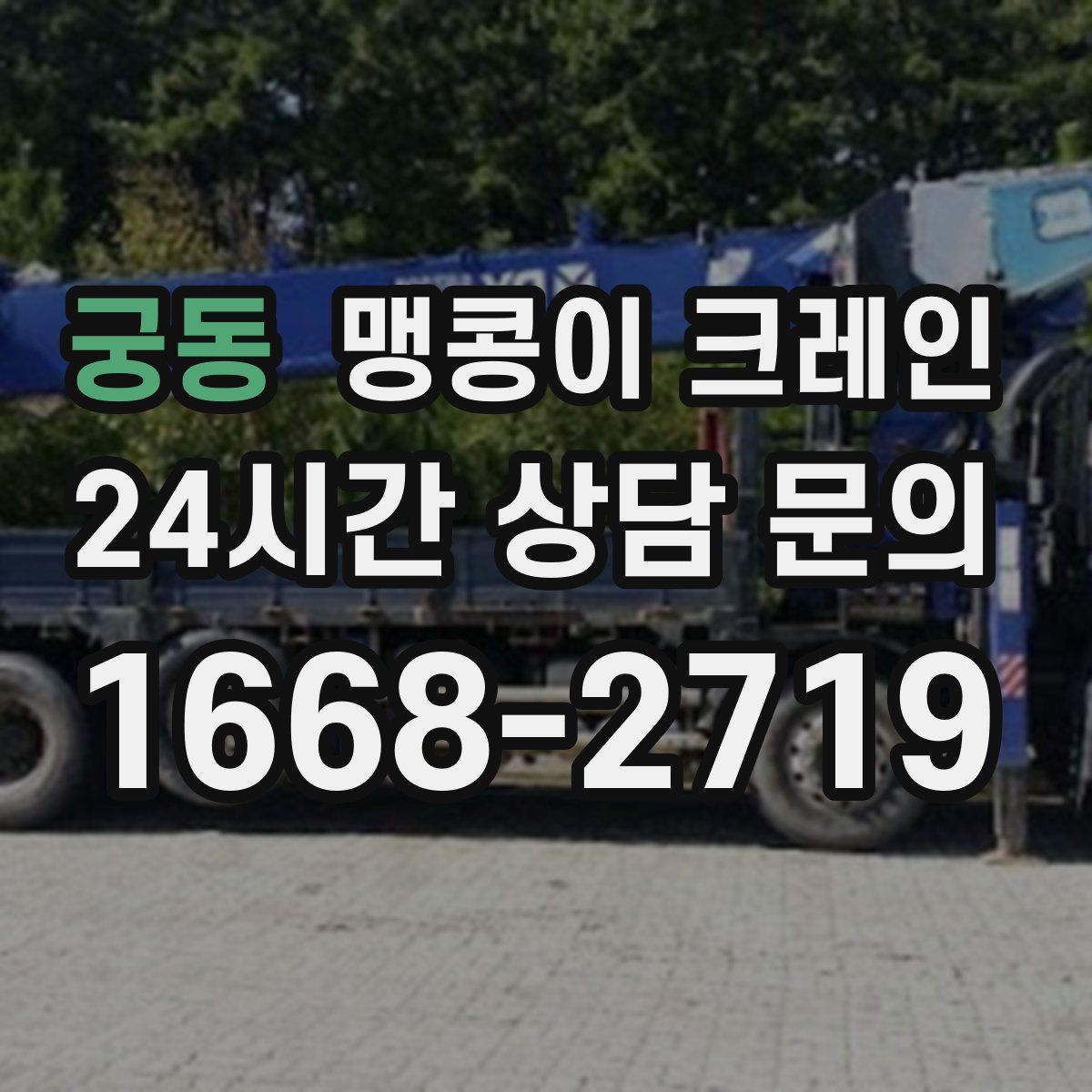 궁동 맹콩이 크레인