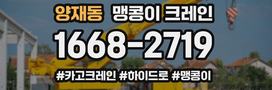 양재동 맹콩이 크레인