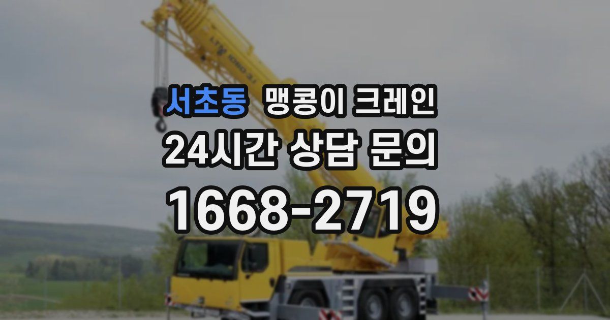 서초동 맹콩이 크레인