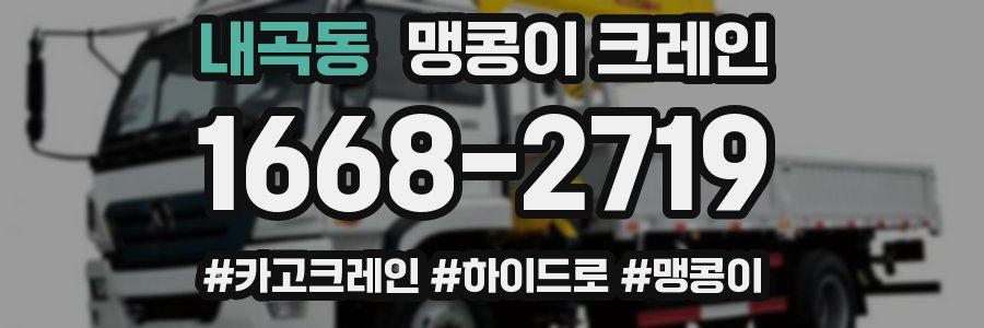 내곡동 맹콩이 크레인
