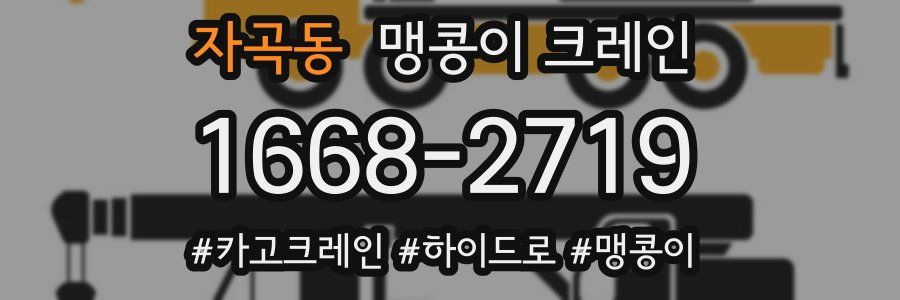 자곡동 맹콩이 크레인