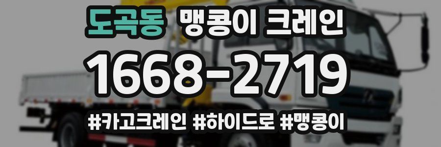 도곡동 맹콩이 크레인