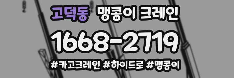 고덕동 맹콩이 크레인