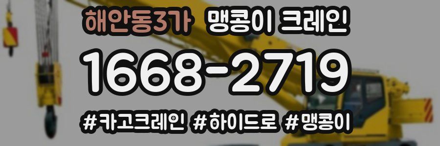 해안동3가 맹콩이 크레인