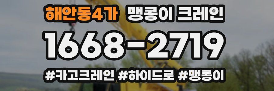 해안동4가 맹콩이 크레인