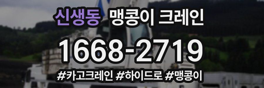 신생동 맹콩이 크레인
