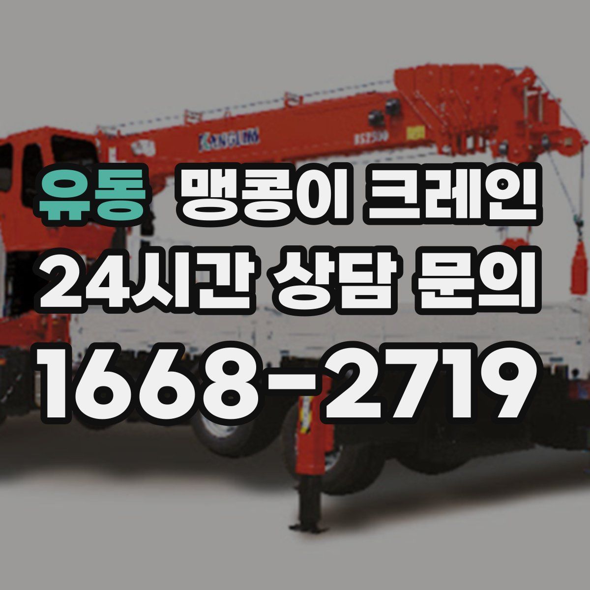 유동 맹콩이 크레인